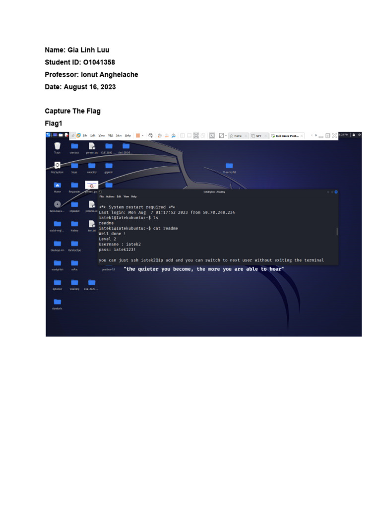 Capture The Flag | PDF