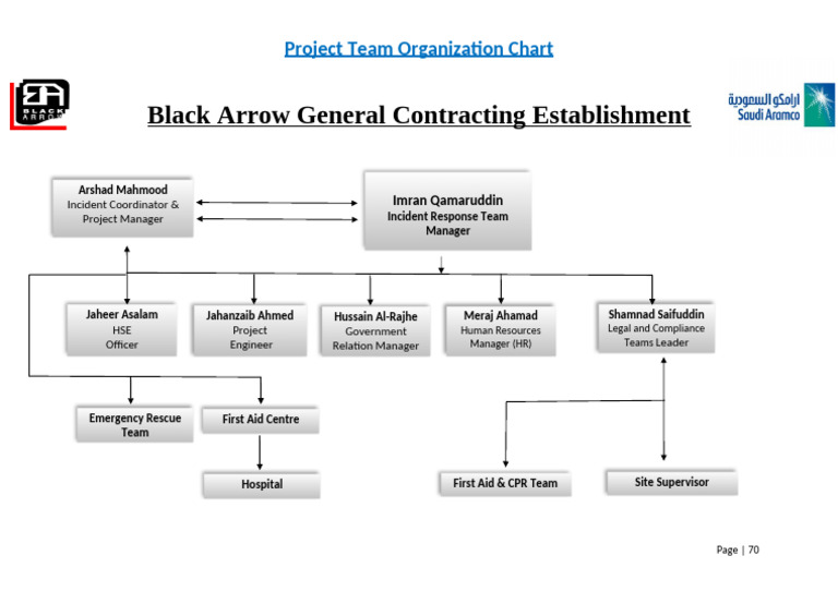 Project Team Structure for Black Arrow | PDF