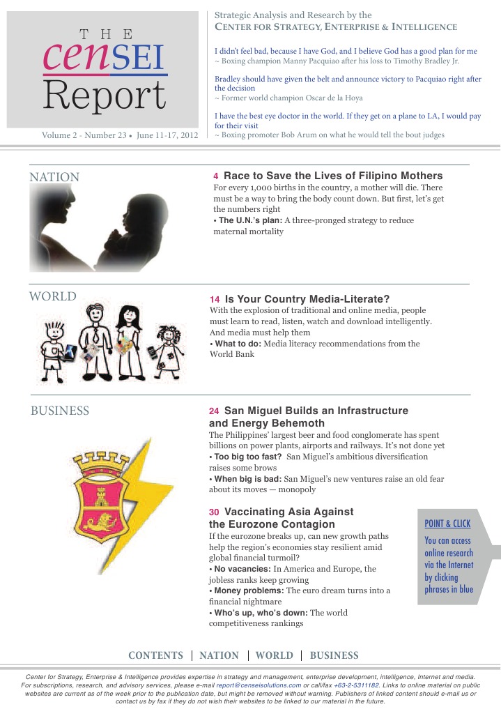 Strategic Insights from CenSEI Report | PDF | Mass Media | Communication