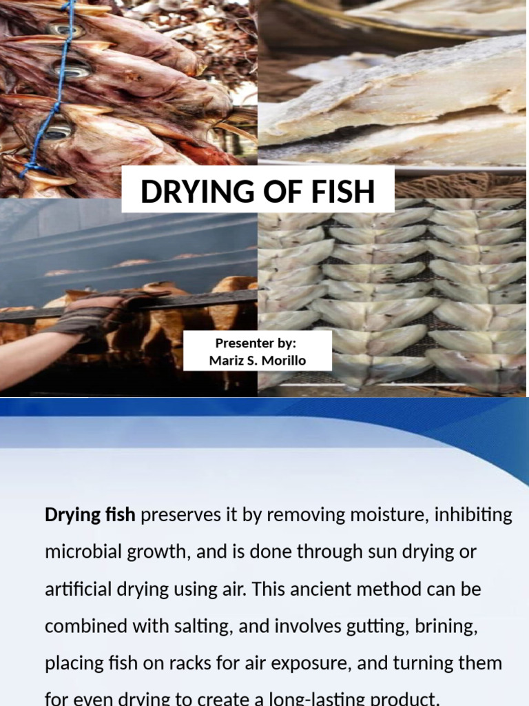 Fish Drying Methods Explained | PDF | Heat Transfer | Clothes Dryer