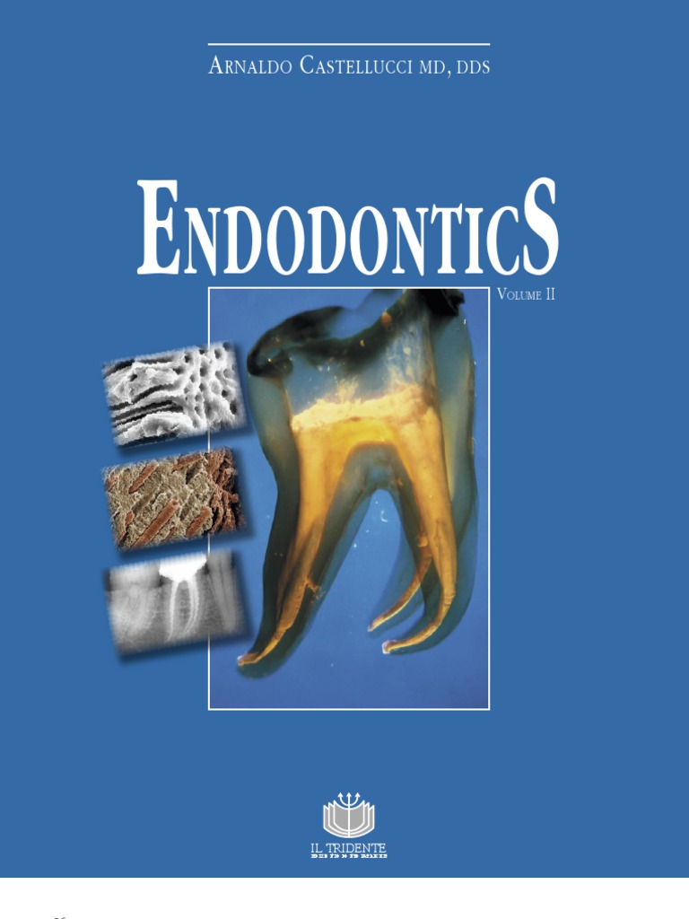 Endodontie Vol 2 Cap 13 27 Arnaldo Castellucci | PDF