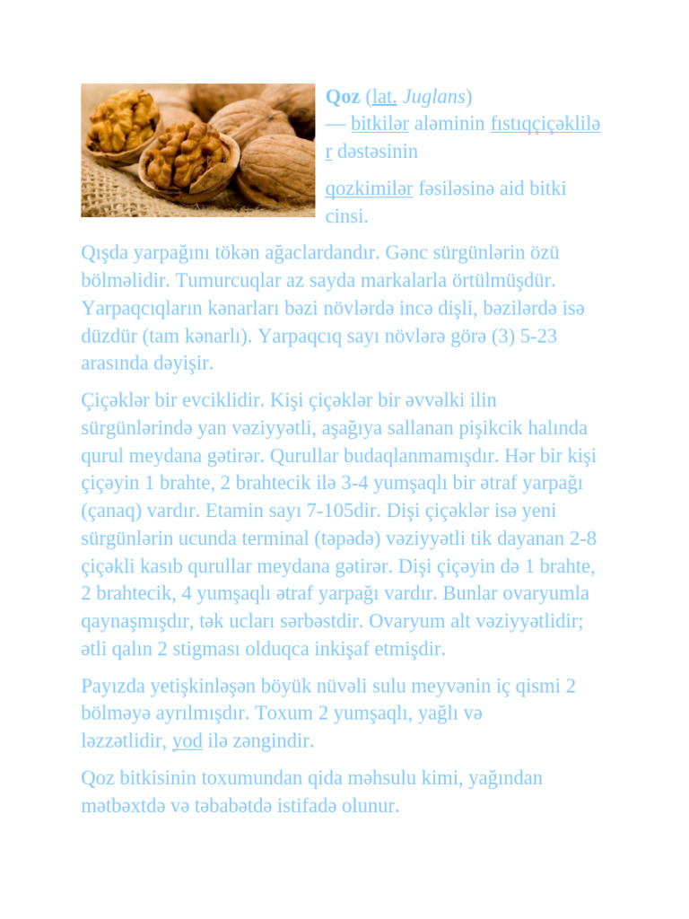 Qoz | PDF