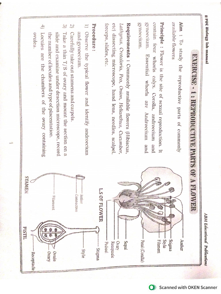 2nd Year Lab Practical | PDF
