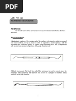 Endodontie Vol 2 Cap 13 27 Arnaldo Castellucci | PDF