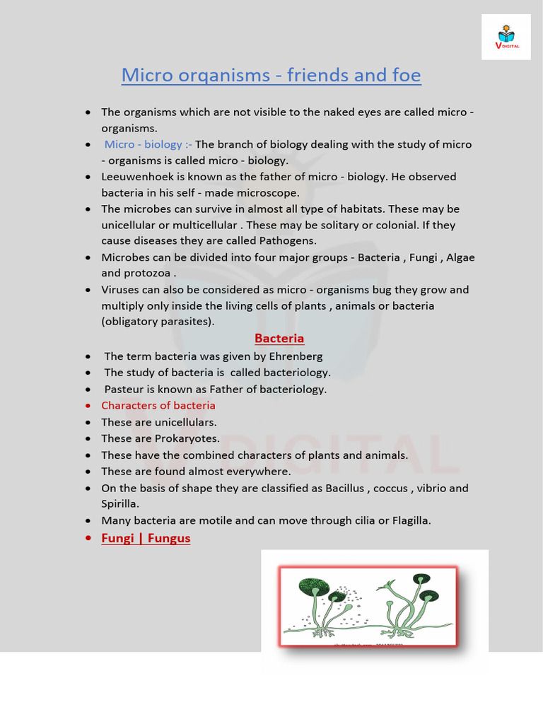 Understanding Microorganisms: Types & Roles | PDF | Microorganism ...