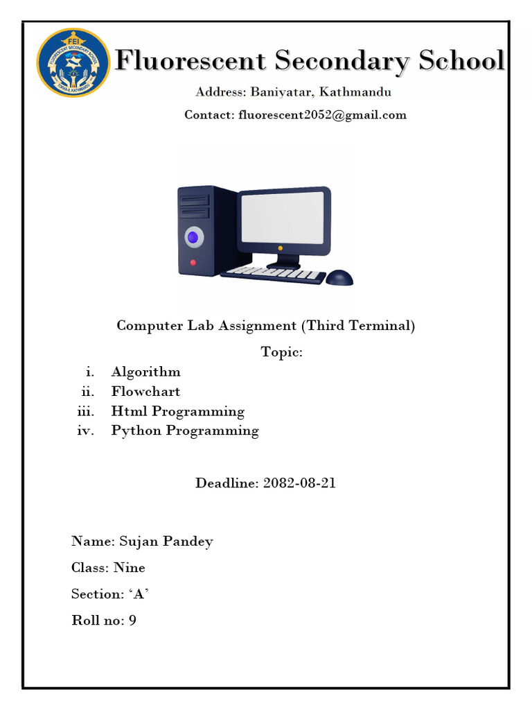 ss | PDF | Computer Programming | Curriculum