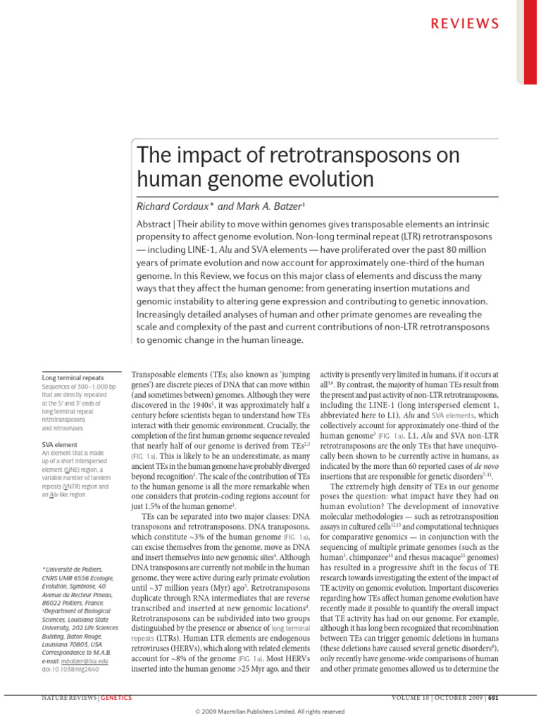 Impact of Transposable Elements on Human Genome | PDF | Transposable ...