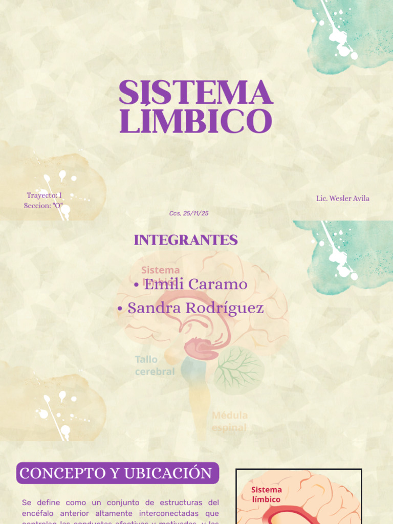 Estructura y funciones del sistema límbico | PDF | Las emociones | Cerebro