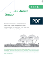 Download Jamur Fungi by Yunita To SN96928713 doc pdf
