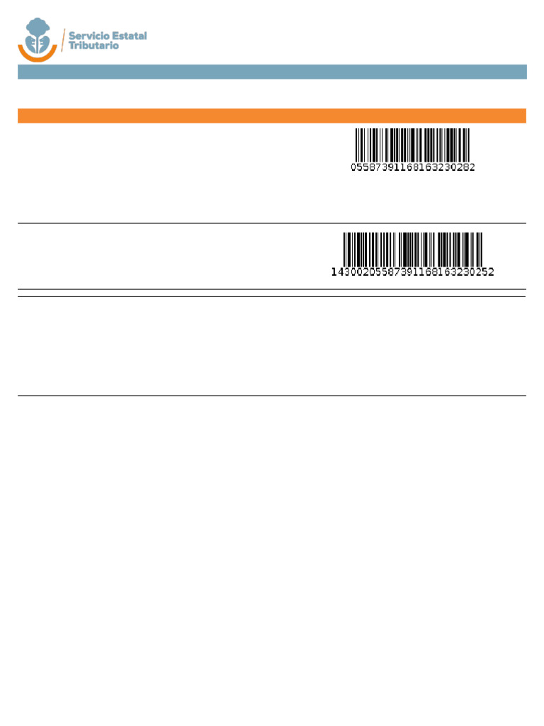 Instrucciones para Pago de Obligaciones Vehiculares | PDF
