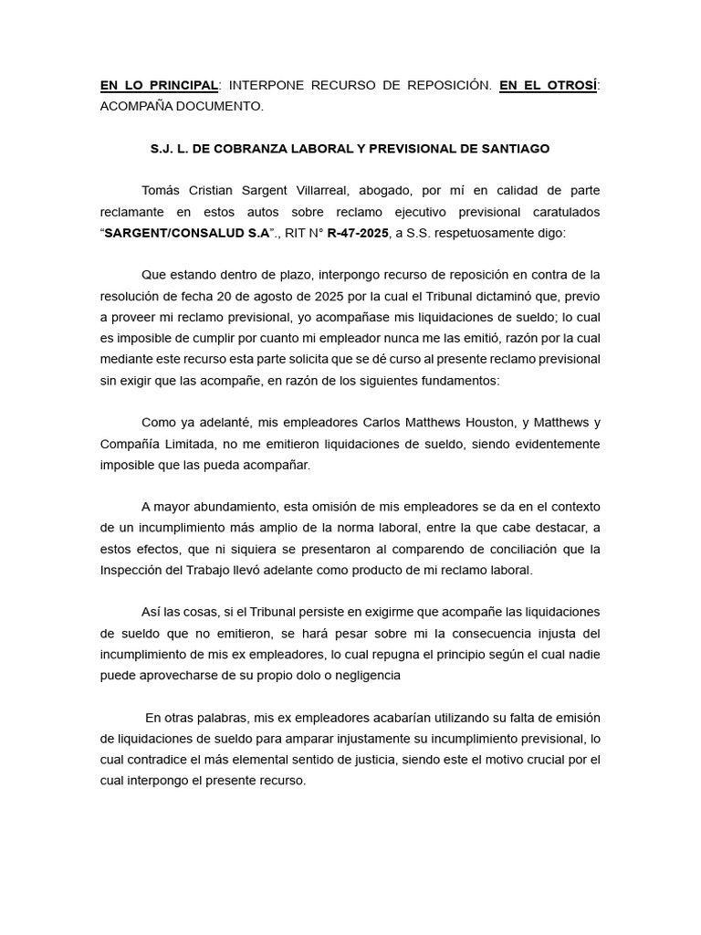 Recurso de reposición en caso previsional | PDF | Justicia | Crimen y ...