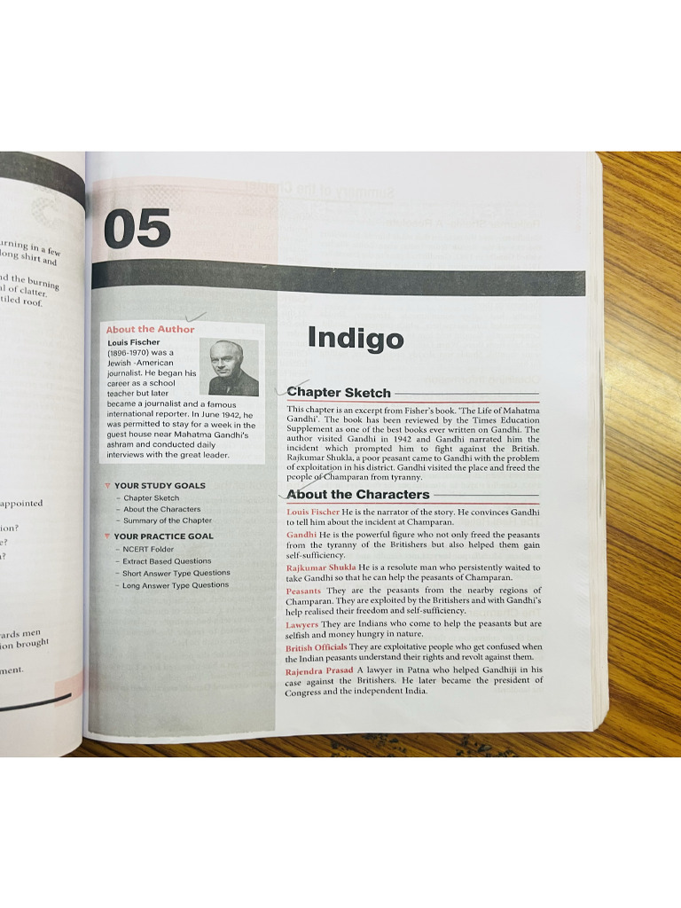 Indigo | PDF