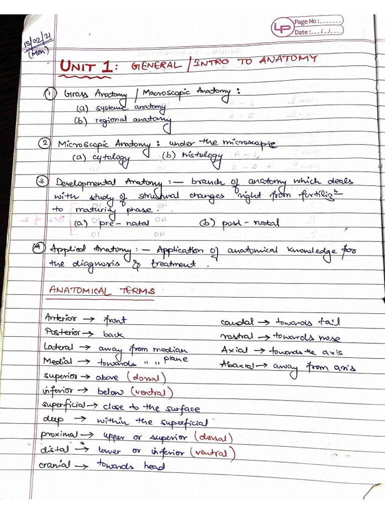 VETERINARY ANATOMY Notes - General Anatomy | PDF