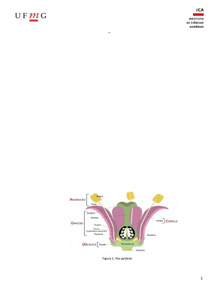Morfologia Floral: Estruturas e Funções | PDF | Flores | Plantas