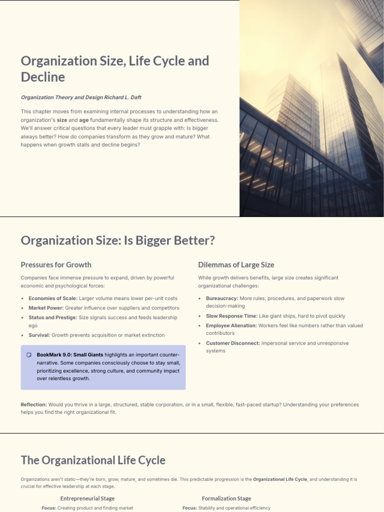 Organization Size and Life Cycle Insights | PDF