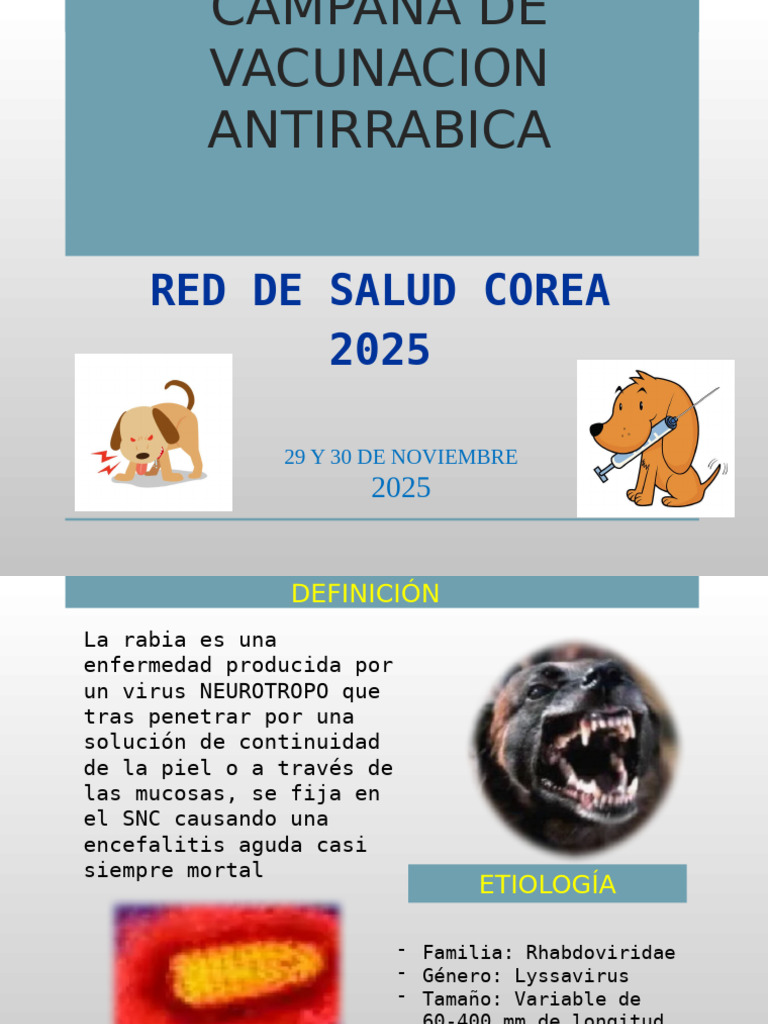 RABIA 2025 Red Corea ¿Que Es La Rabiamm? | PDF | Rabia | Especialidades ...
