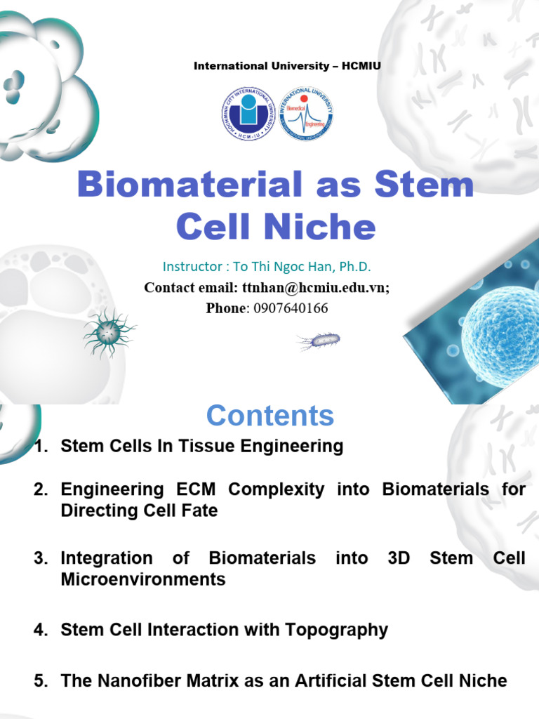 7 - 8 - Lecture 7 - Biomaterial As Stem Cell Niche | PDF ...