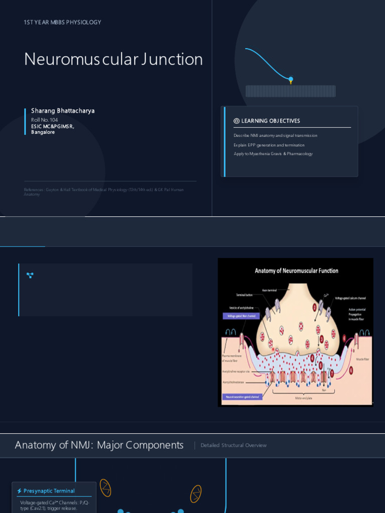 Neuromuscular Junction Overview and Function | PDF