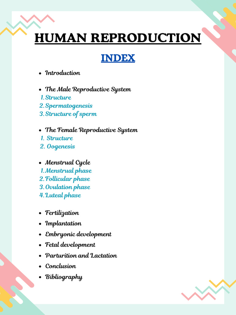 Human Reproduction Process Explained | PDF