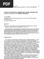 Download Guide to the Internal Morphology of the European Eel by Humus Sapiens SN96941669 doc pdf