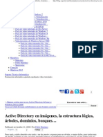 Active Directory en Imágenes, La Estructura Lógica, Árboles, Dominios, Bosques... - Soporte Técnico Informático