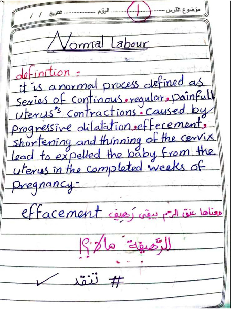 Normal Labour | PDF