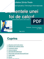 Elementele Unei Foi de Calcul