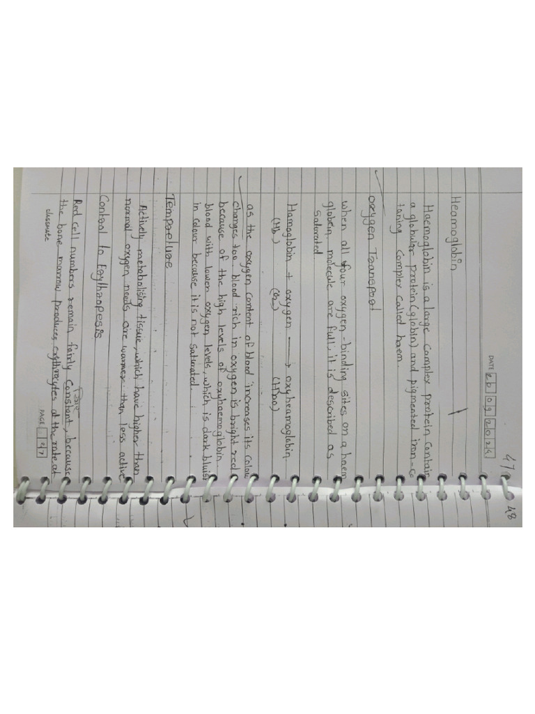 The Blood Notes | PDF