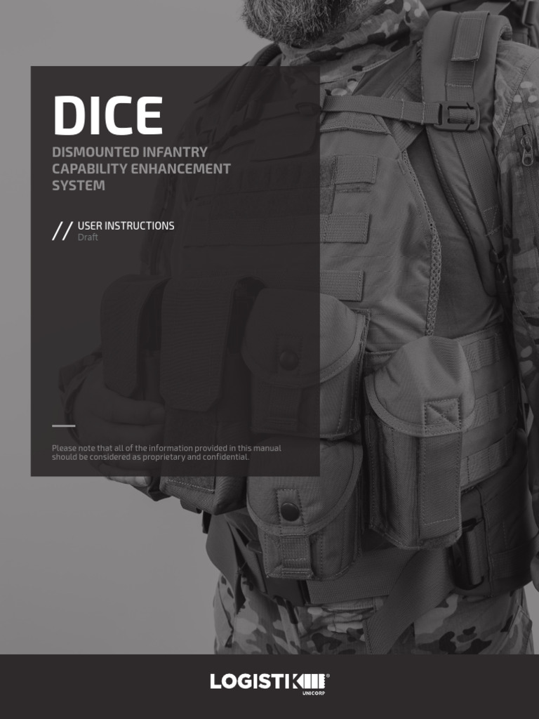DICE System User Instructions Draft | PDF
