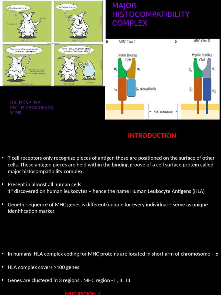 Major Histocompatibility Complex Overview | PDF | Major ...