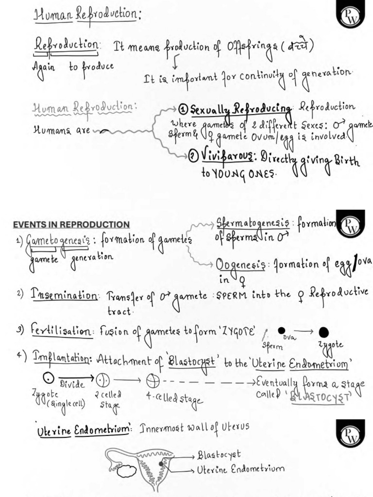 Biology Notes Which Are Edited For Better | PDF