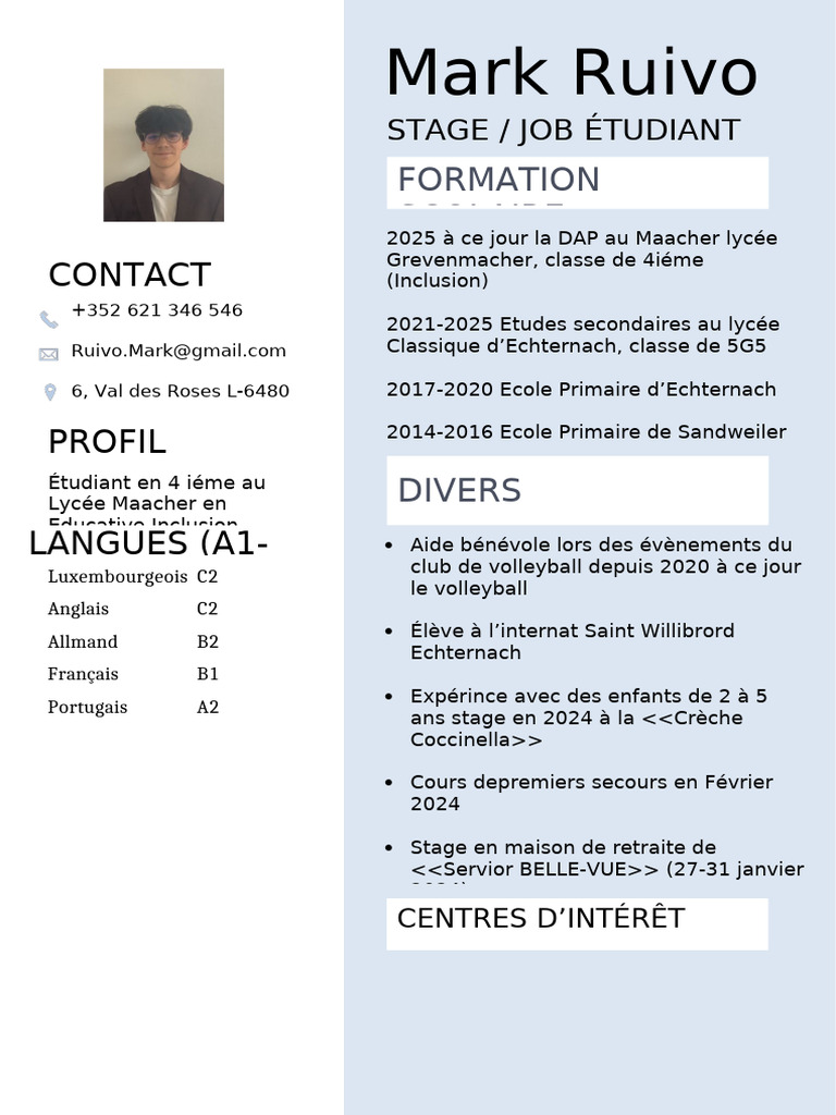 CV d'étudiant en inclusion éducative | PDF