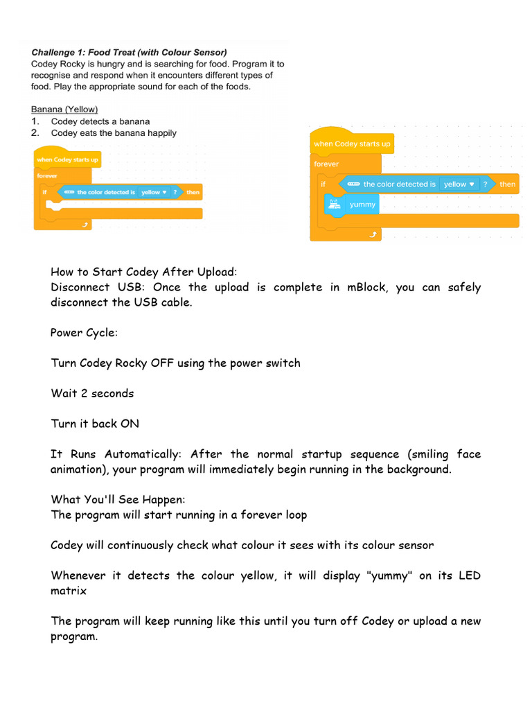 Codey Rocky Challenges | PDF