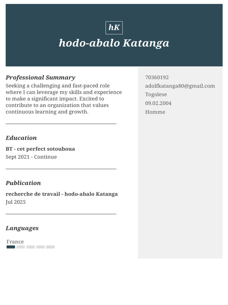Professional Summary and Education Overview | PDF