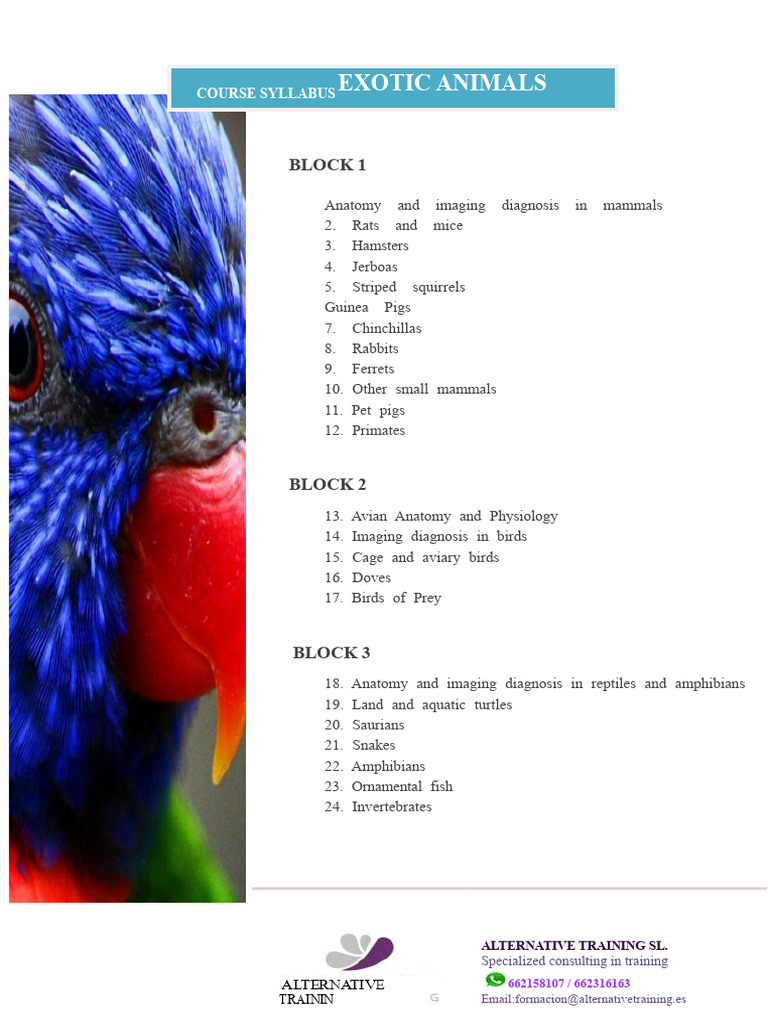 Syllabus Exotic Animals Course | PDF