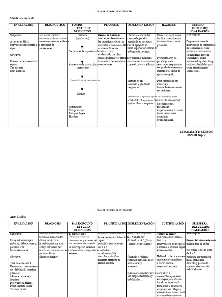 Plan de Cuidado de Enfermería Detallado | PDF | Tos | Estrés (biología)