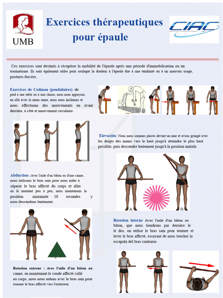 exercices-de-r-ducation-de-l-paule-pdf