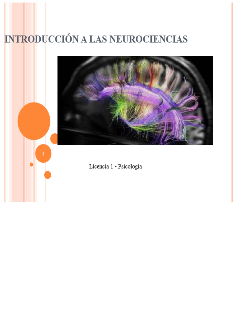 Introducción a las Neurociencias | PDF | Neurociencia | Cerebro