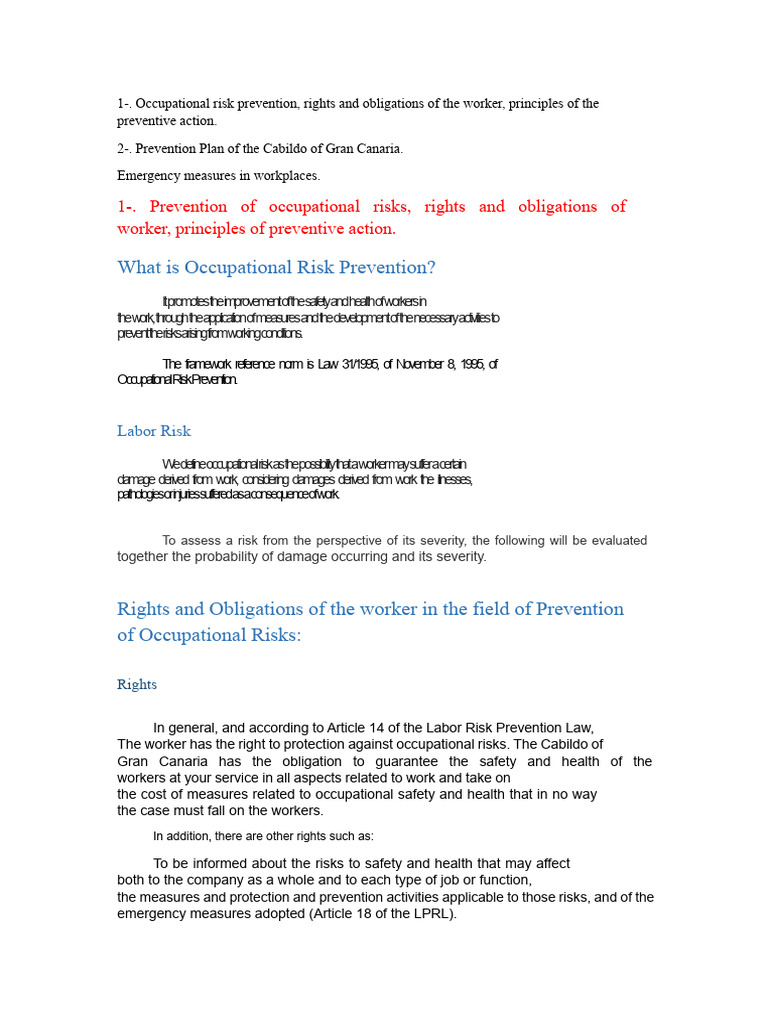 Occupational Risk Prevention Guide | PDF | Occupational Safety And ...