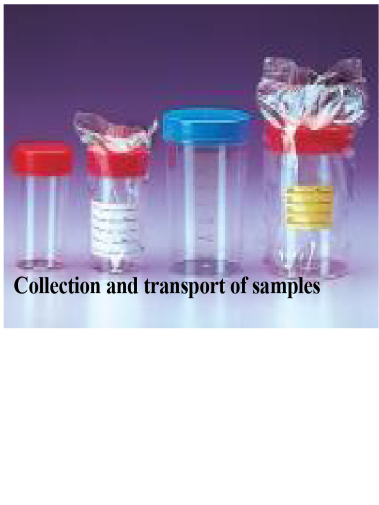 20 COLLECTION AND TRANSPORT OF SAMPLES | PDF | Stomach | Medical ...