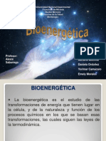 bioenergetica expoooo (3)