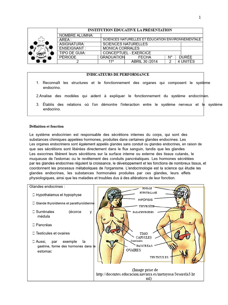Comprendre le système endocrinien | PDF | Hormone | Hypothalamus