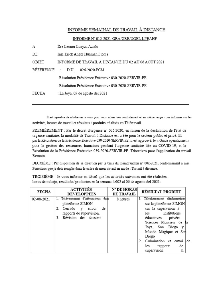 Modèle de Rapport D'activités | PDF