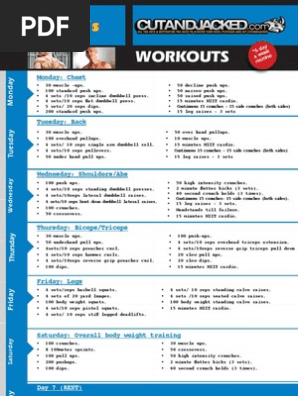 Workout Frank Medrano1 Pdf