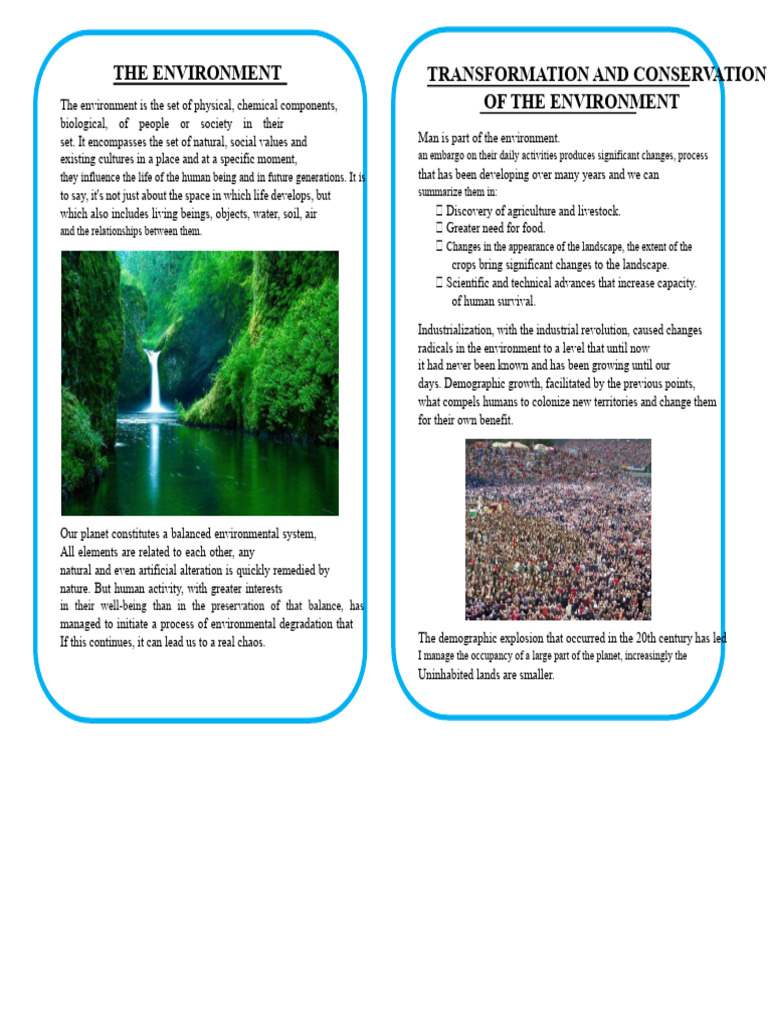 Environmental Transformation and Degradation | PDF | Environmental ...