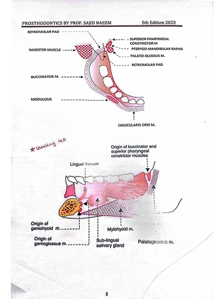 Prostho Ospe | PDF