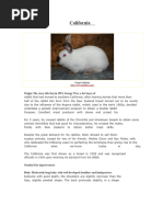 JAX Mouse Pup Age Appearance Guide | PDF