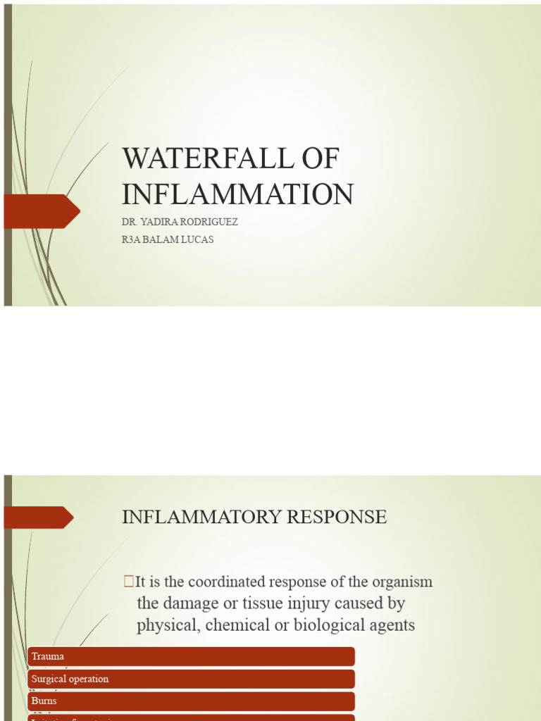 Inflammation Cascade | PDF | Inflammation | Complement System