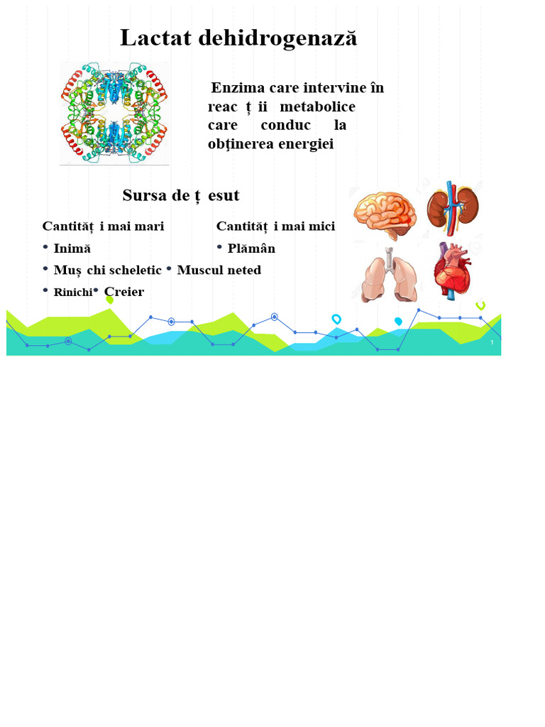 Lactat | PDF