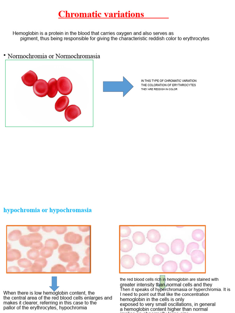 Chromatic variations.pptx | PDF | Red Blood Cell | Anemia